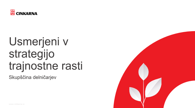 29. redna skupščina delničarjev