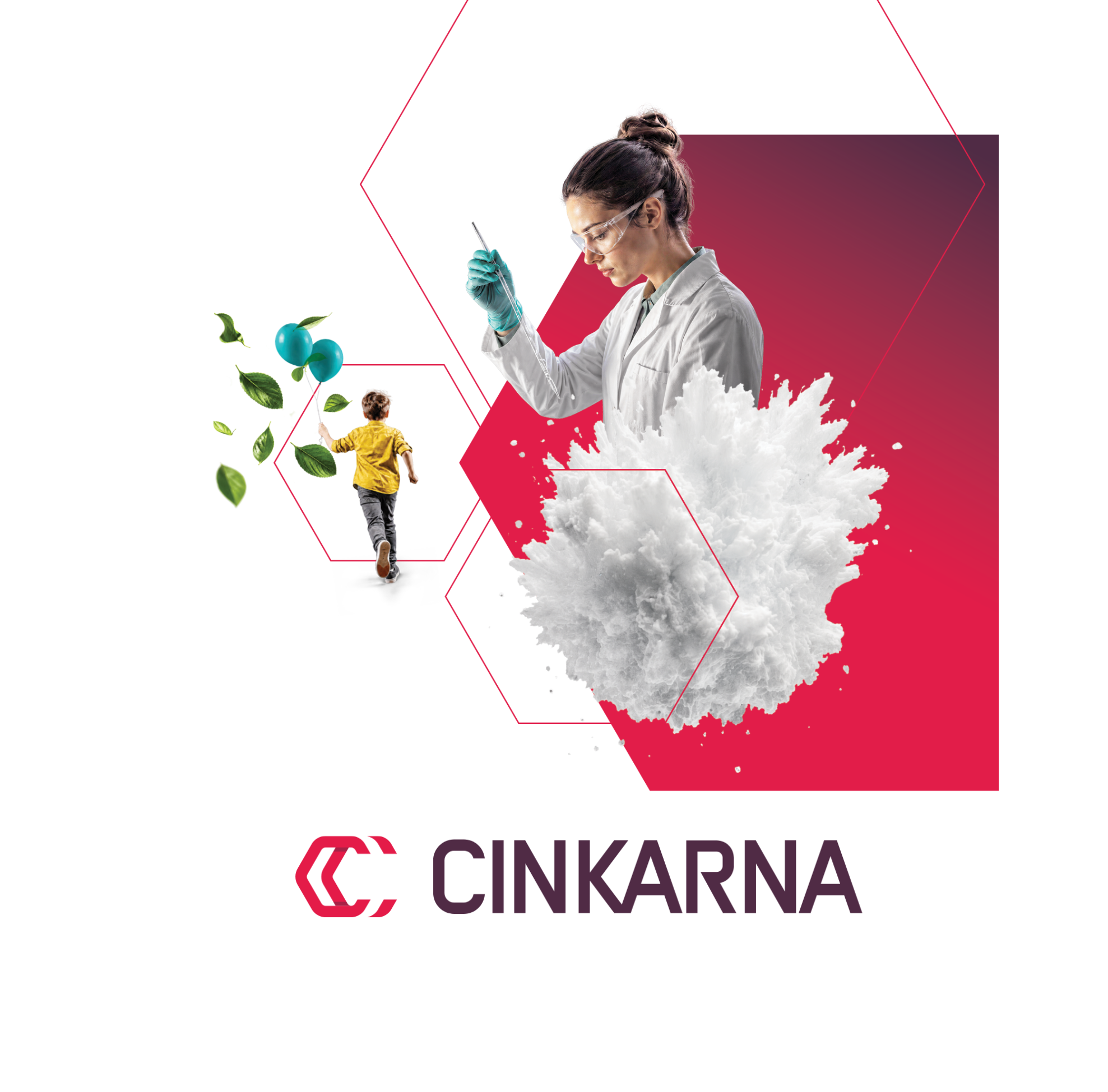 A New Look for Chemical Excellence of Cinkarna Celje