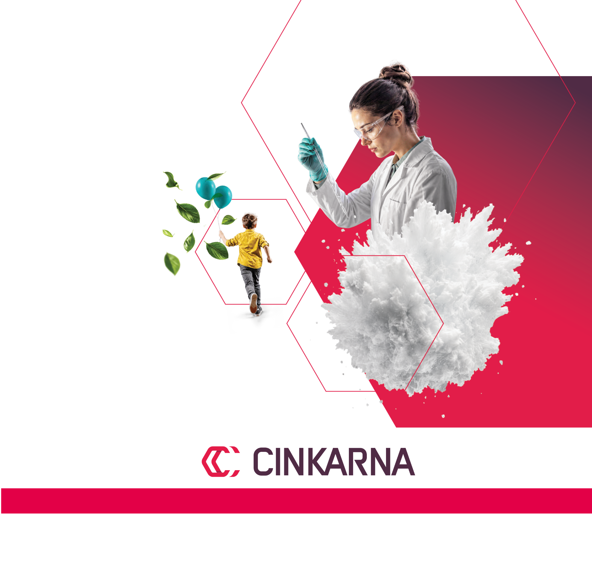 A New Look for Chemical Excellence of Cinkarna Celje